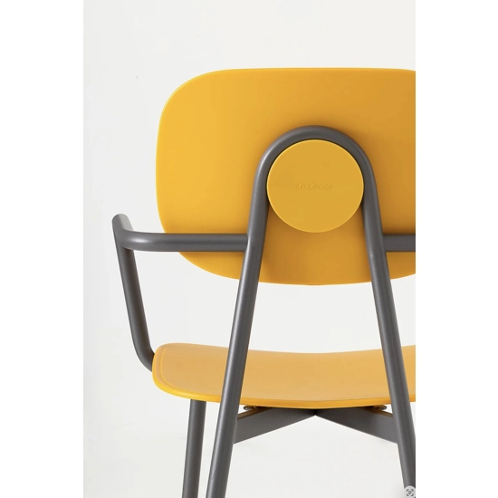 Tata Young Braccioli Sedie in plastica di design Point 6